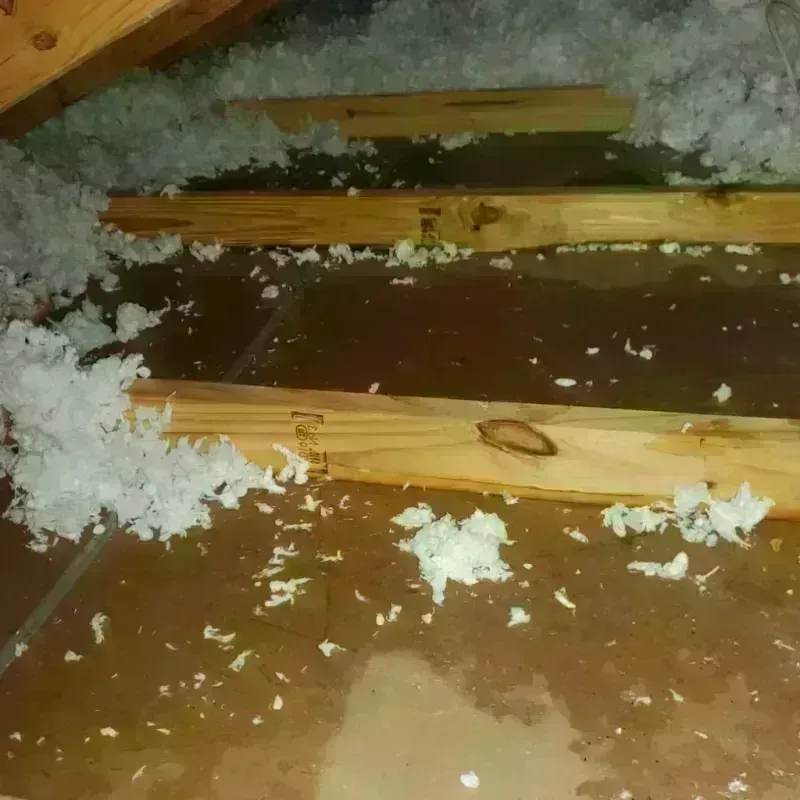 Attic Water Damage in Terry County, TX