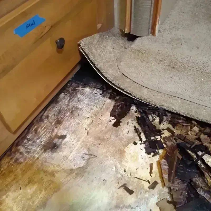 Wood Floor Water Damage in Terry County, TX